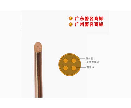 BTTZ-750V礦物質(zhì)電纜